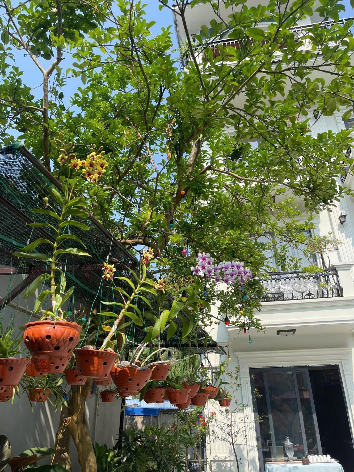 Lynh'S Villa Dong Khe Sau المظهر الخارجي الصورة